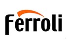 Запчасти для котлов и колонок Ferroli